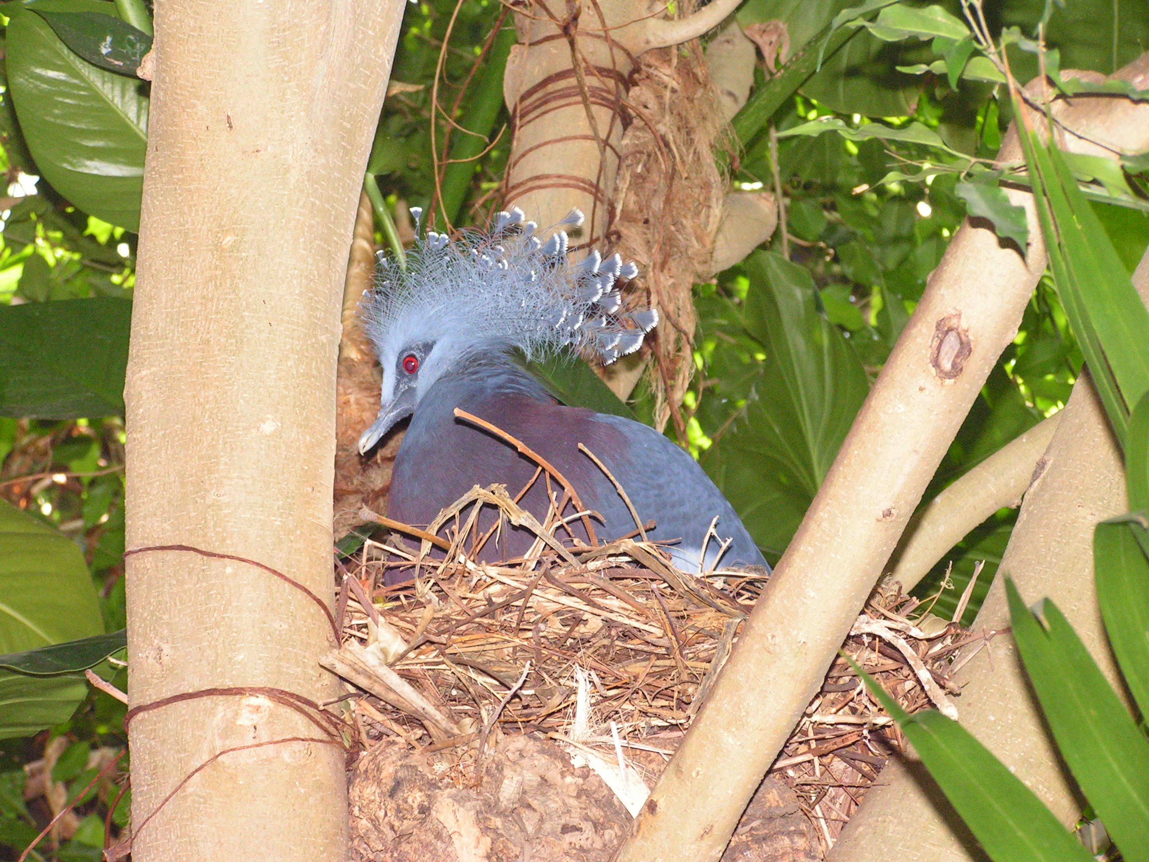 ./2006/EMMMS Zoo/PattieZooPics0026.JPG